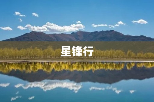 星锋行:打造娱乐圈最具影响力的经纪公司 星锋行:打造娱乐圈最具影响力的经纪公司