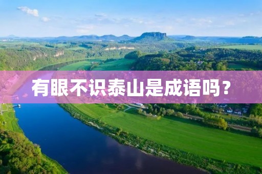 有眼不识泰山是成语吗？