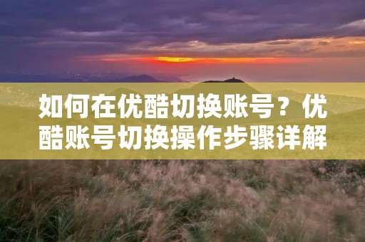 如何在优酷切换账号?优酷账号切换操作步骤详解 如何在优酷切换账号?优酷账号切换操作步骤详解