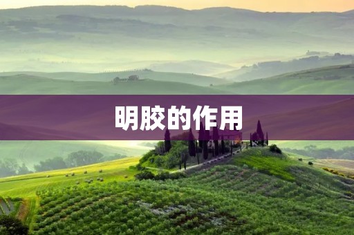 明胶的作用 明胶的作用