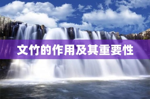 文竹的作用及其重要性 文竹的作用及其重要性