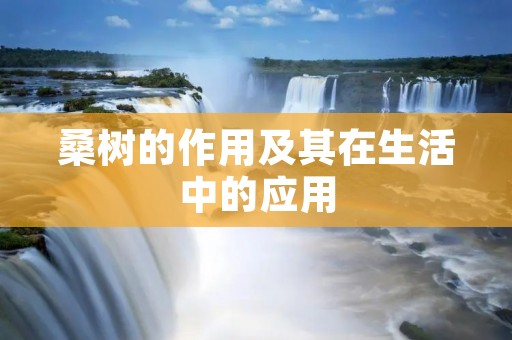 桑树的作用及其在生活中的应用 桑树的作用及其在生活中的应用