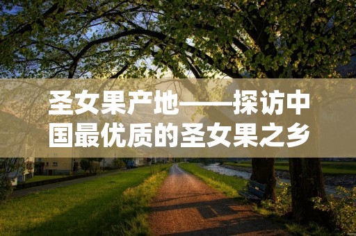 圣女果产地——探访中国最优质的圣女果之乡
