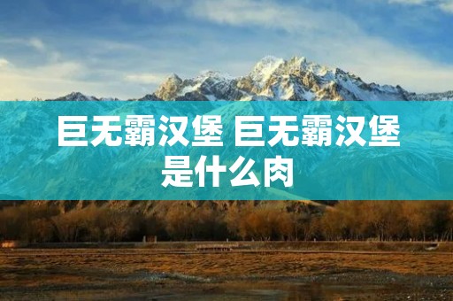 巨无霸汉堡 巨无霸汉堡是什么肉