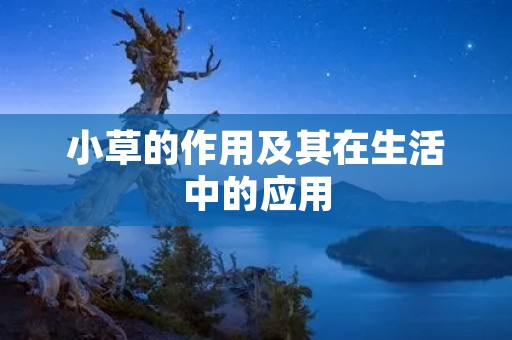 小草的作用及其在生活中的应用 小草的作用及其在生活中的应用