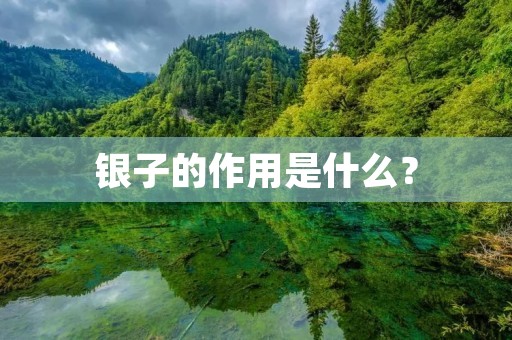 银子的作用是什么? 银子的作用是什么?