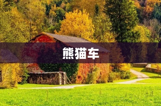 熊猫车：一款专为城市出行而生的智能电动汽车