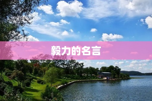 毅力的名言