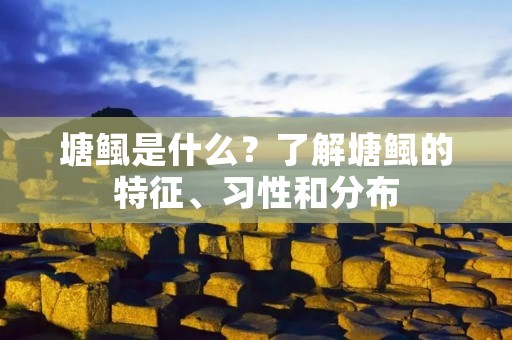 塘鲺是什么?了解塘鲺的特征、习性和分布 塘鲺是什么?了解塘鲺的特征、习性和分布