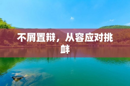 不屑置辩，从容应对挑衅