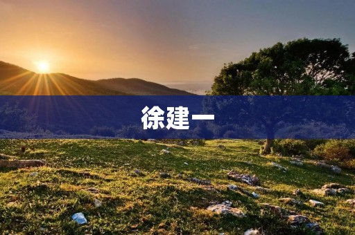 徐建一:一个曾经的商业巨子的沉浮史 徐建一:一个曾经的商业巨子的沉浮史