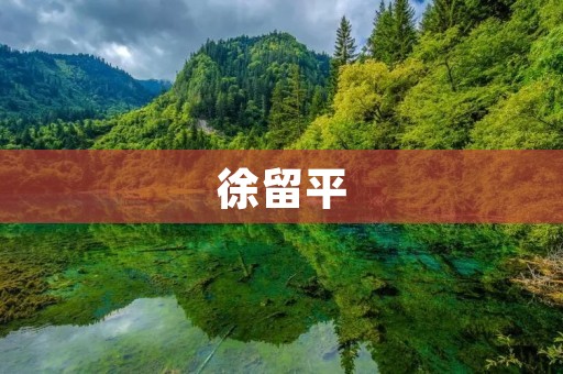 徐留平：中国汽车工业的领军人物