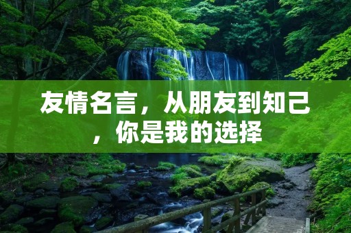 友情名言,从朋友到知己,你是我的选择