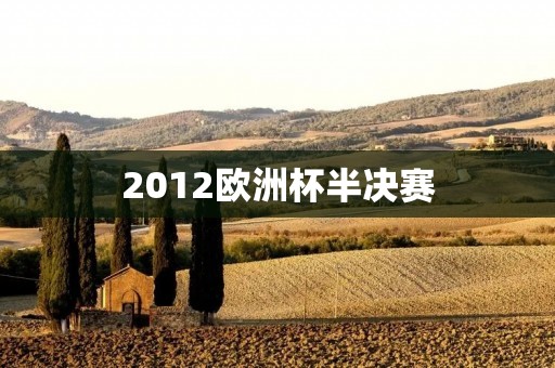 2012欧洲杯半决赛:意大利vs德国 2012欧洲杯半决赛:意大利vs德国