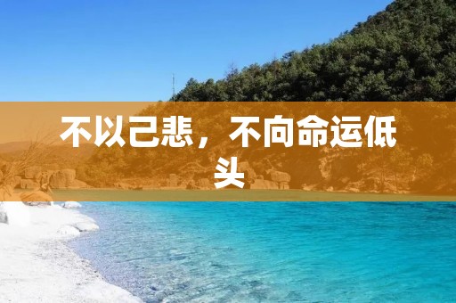 不以己悲，不向命运低头