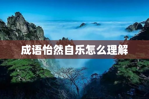 成语怡然自乐怎么理解