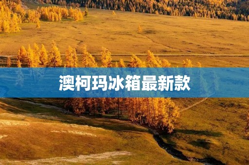 澳柯玛冰箱最新款：为你打造舒适的生活品质