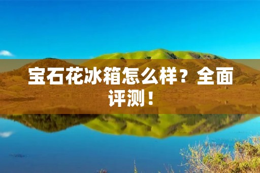 宝石花冰箱怎么样？全面评测！