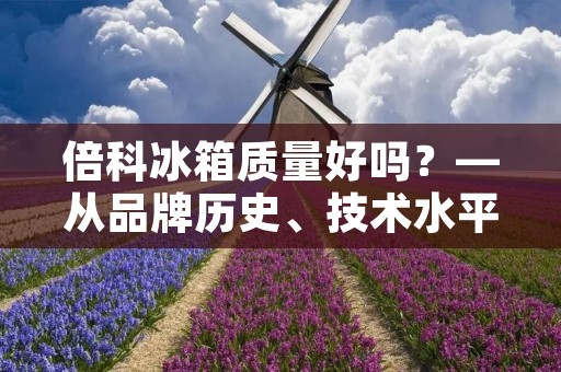 倍科冰箱质量好吗？—从品牌历史、技术水平和用户评价看