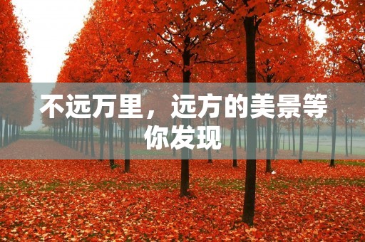 不远万里,远方的美景等你发现 不远万里,远方的美景等你发现