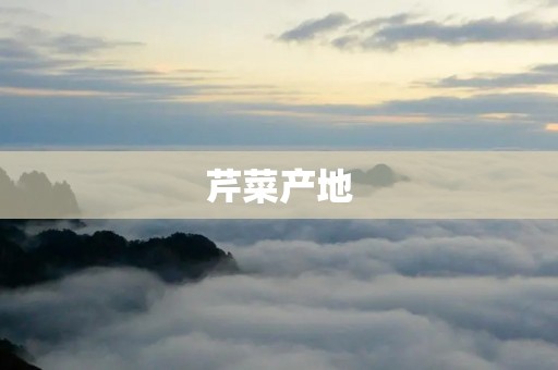芹菜产地:哪里的芹菜最好吃? 芹菜产地:哪里的芹菜最好吃?