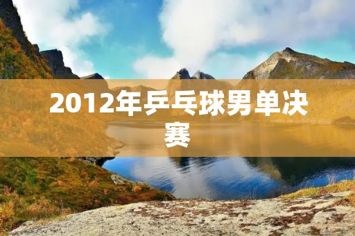 2012年乒乓球男单决赛：马龙夺冠