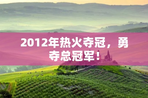 2012年热火夺冠，勇夺总冠军！