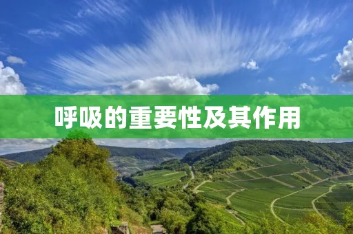 呼吸的重要性及其作用