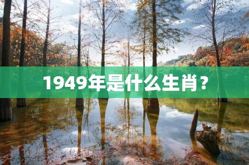 1949年是什么生肖？