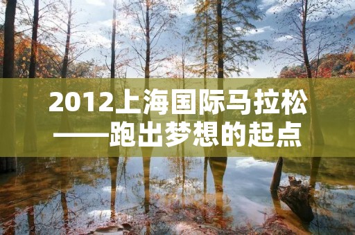 2012上海国际马拉松——跑出梦想的起点