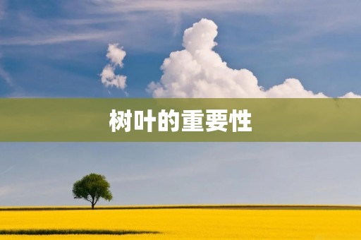  树叶的重要性：从光合作用到生态平衡
