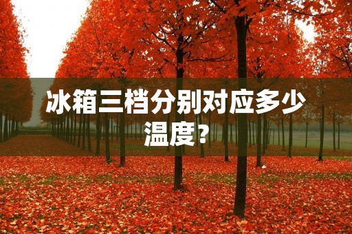 冰箱三档分别对应多少温度？