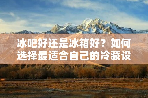 冰吧好还是冰箱好？如何选择最适合自己的冷藏设备？