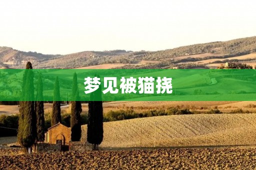 梦见被猫挠：梦境中的神秘预兆