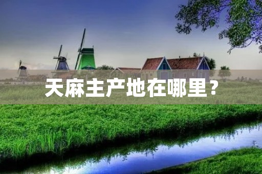 天麻主产地在哪里？