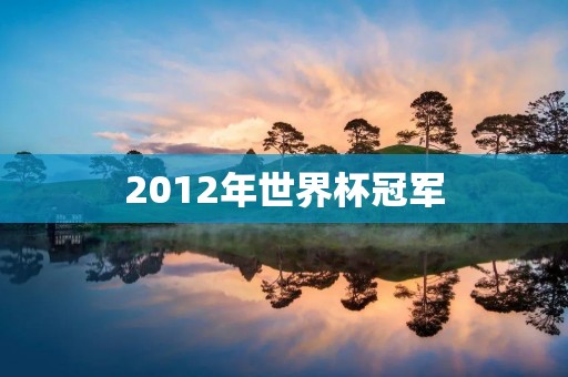 2012年世界杯冠军:西班牙队的辉煌时刻 2012年世界杯冠军:西班牙队的辉煌时刻