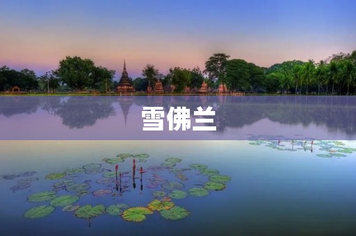 雪佛兰:品质与创新并存的汽车制造巨头 雪佛兰:品质与创新并存的汽车制造巨头