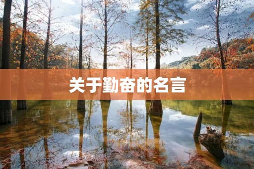关于勤奋的名言