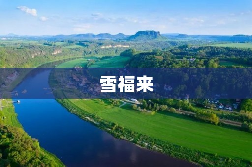 雪福来：坚守匠心，为消费者带来更好的生活
