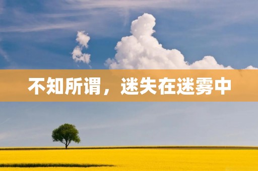 不知所谓，迷失在迷雾中