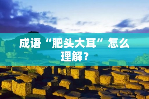 成语“肥头大耳”怎么理解？