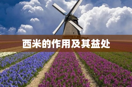 西米的作用及其益处