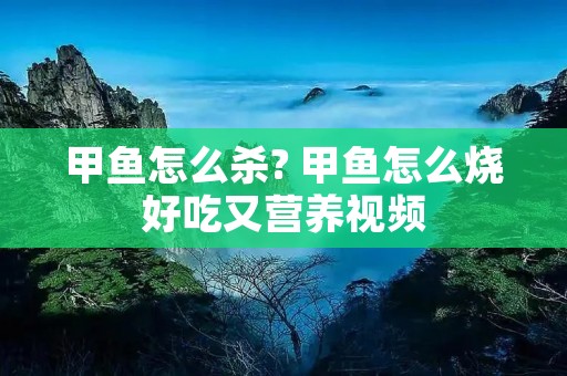 甲鱼怎么杀? 甲鱼怎么烧好吃又营养视频 甲鱼怎么杀? 甲鱼怎么烧好吃又营养视频
