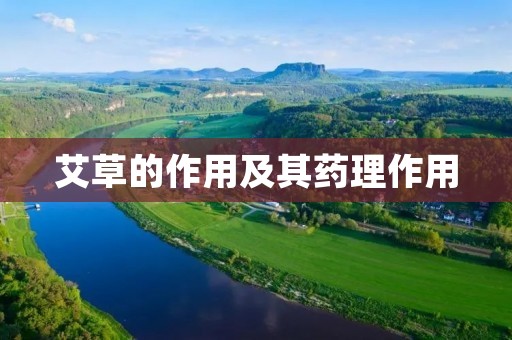 艾草的作用及其药理作用 艾草的作用及其药理作用