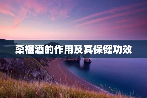 桑椹酒的作用及其保健功效