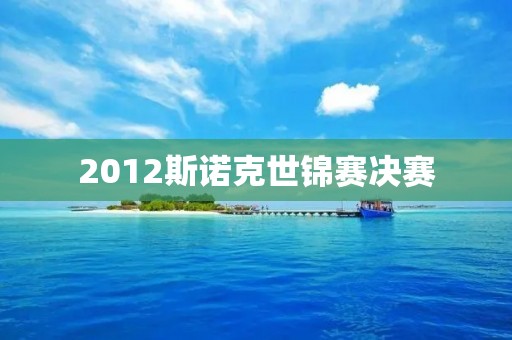 2012斯诺克世锦赛决赛:塞尔比逆转夺冠 2012斯诺克世锦赛决赛:塞尔比逆转夺冠