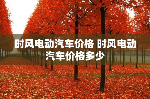 时风电动汽车价格 时风电动汽车价格多少