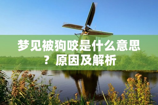 梦见被狗咬是什么意思？原因及解析