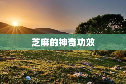 芝麻的神奇功效