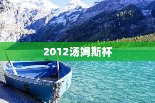 2012汤姆斯杯:中国队夺冠,创历史性成就 2012汤姆斯杯:中国队夺冠,创历史性成就